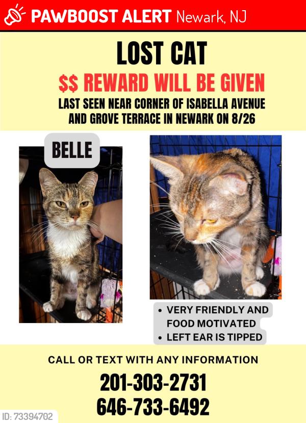 Lost Female Cat last seen Isabella Avenue, Newark, NJ, Newark, NJ 07106