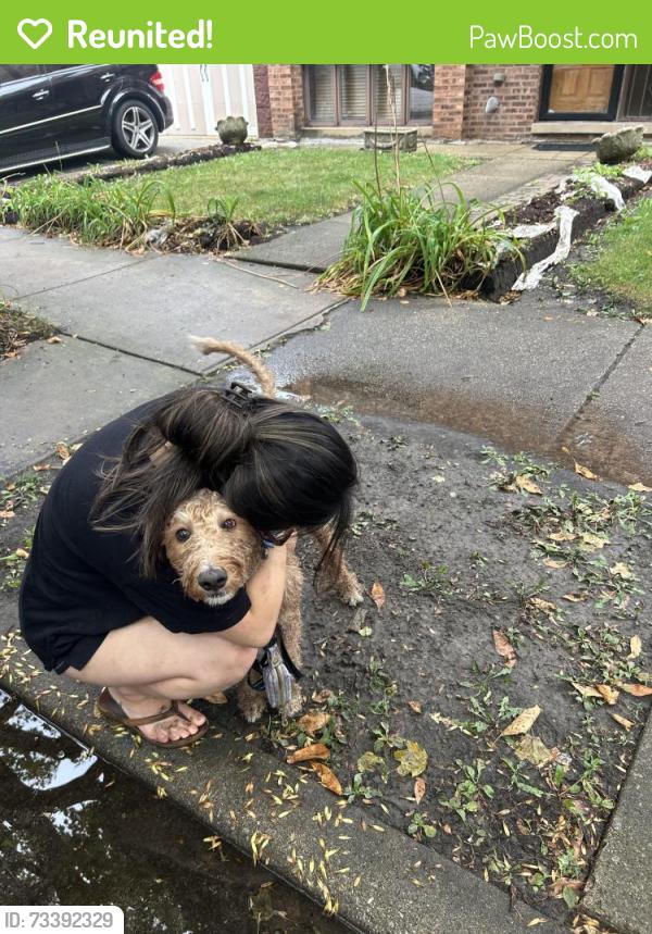 Reunited Male Dog last seen He was last seen running up the entrance to the freeway, Chicago, IL 60616
