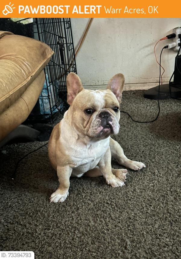 Found/Stray Unknown Dog last seen Nw 39th mcarthur, Warr Acres, OK 73122