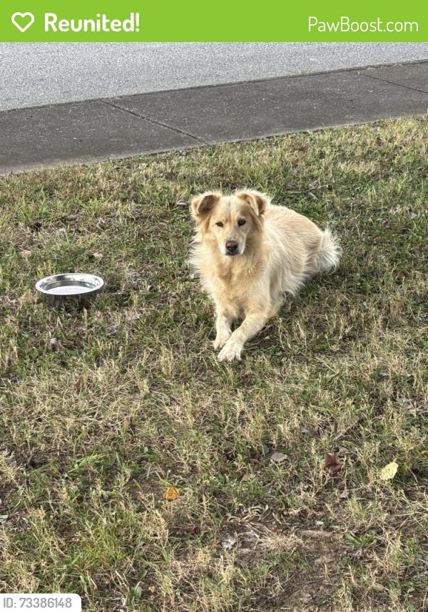 Reunited Unknown Dog last seen Spring Place, Fort Oglethorpe, GA 30742