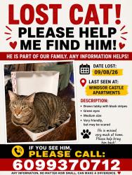Reunited Male Cat last seen Devonshire Dr and Dorchester Dr., East Windsor, NJ 08512