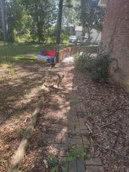 Found/Stray Unknown Dog last seen lidl, ingles, kohls, applebees, Spartanburg, SC 29301