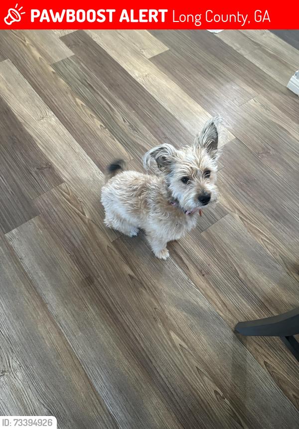 Lost Female Dog last seen Smiley rd, Long County, GA 31316
