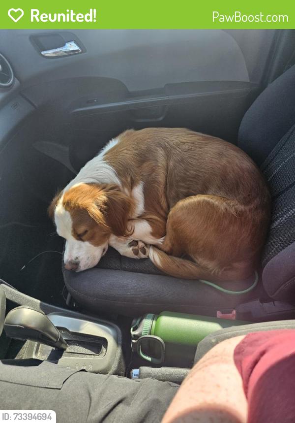 Reunited Female Dog last seen Salem, OR, USA, Salem, OR 97302