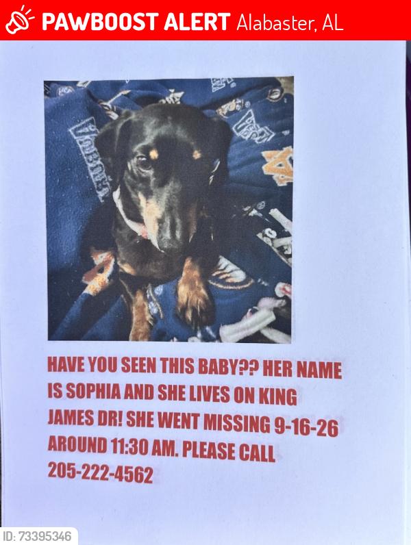 Lost Female Dog last seen Hill Spun Road, Alabaster, AL 35007