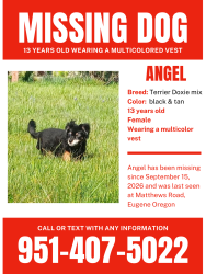 Lost Female Dog last seen Mathews and Dillard rd, Lane County, OR 97405
