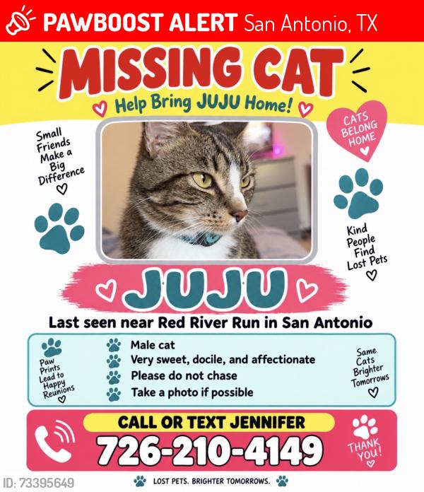 Lost Male Cat last seen Red river run / Quartz road, San Antonio, TX 78253