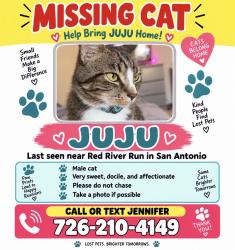 Lost Male Cat last seen Red river run / Quartz road, San Antonio, TX 78253