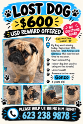 Lost Male Dog last seen 31st Avenue and Glenrosa, Phoenix, AZ 85017