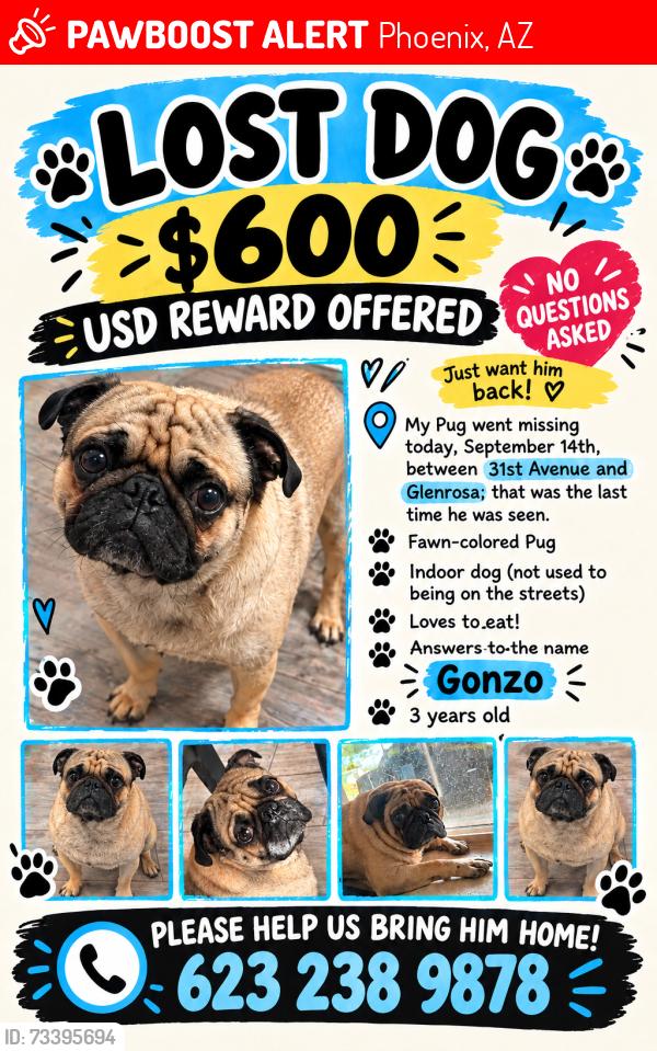 Lost Male Dog last seen 31st Avenue and Glenrosa, Phoenix, AZ 85017