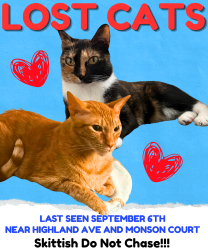 Lost Unknown Cat last seen Highland & Monson, Yorba Linda, CA 92886