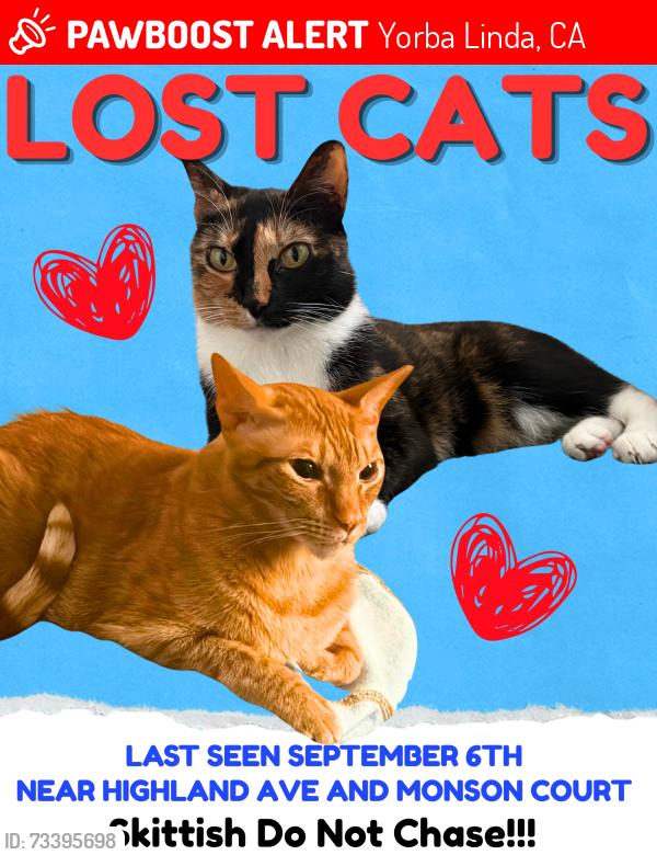 Lost Unknown Cat last seen Highland & Monson, Yorba Linda, CA 92886