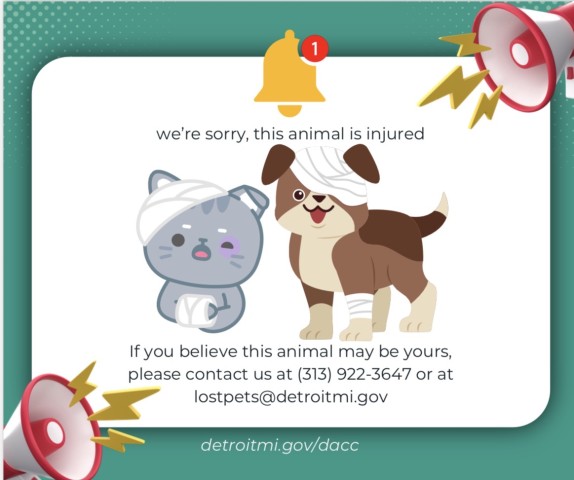 Shelter Stray Male Dog last seen Near BLOCK ASBURY PARK, DETROIT, MI 48235, 7401 Chrysler Dr, Detroit, MI 48211, USA