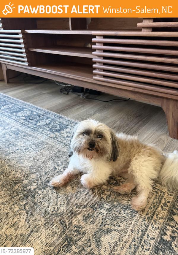 Found/Stray Unknown Dog last seen Piccadilly Pines Ct, Winston-Salem, NC 27127