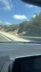 Found/Stray Male Dog last seen Near the San ysidro middle school, San Diego, CA 92154