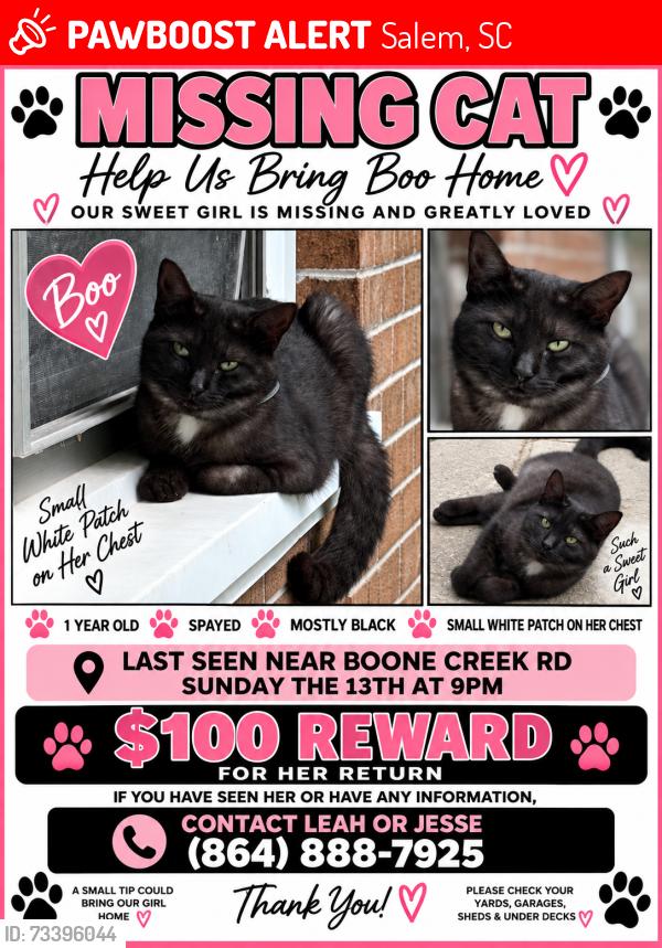 Lost Female Cat last seen Highway 11 Salem sc, Salem, SC 29676