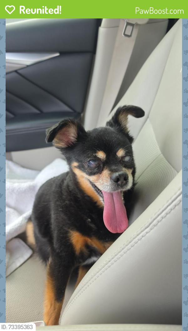 Reunited Unknown Dog last seen Vista dr and 22nd st, Phoenix, AZ 85022