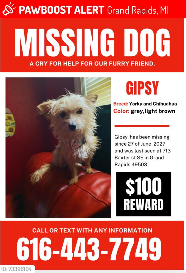 Lost Female Dog last seen A church, Grand Rapids, MI 49503