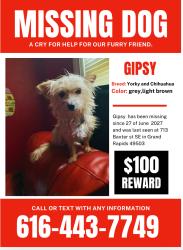 Lost Female Dog last seen A church, Grand Rapids, MI 49503