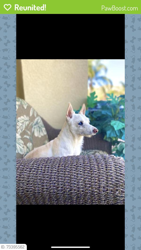 Reunited Male Dog last seen Near Hidden Springs Dr, Moreno Valley, CA 92557, USA, Moreno Valley, CA 92557