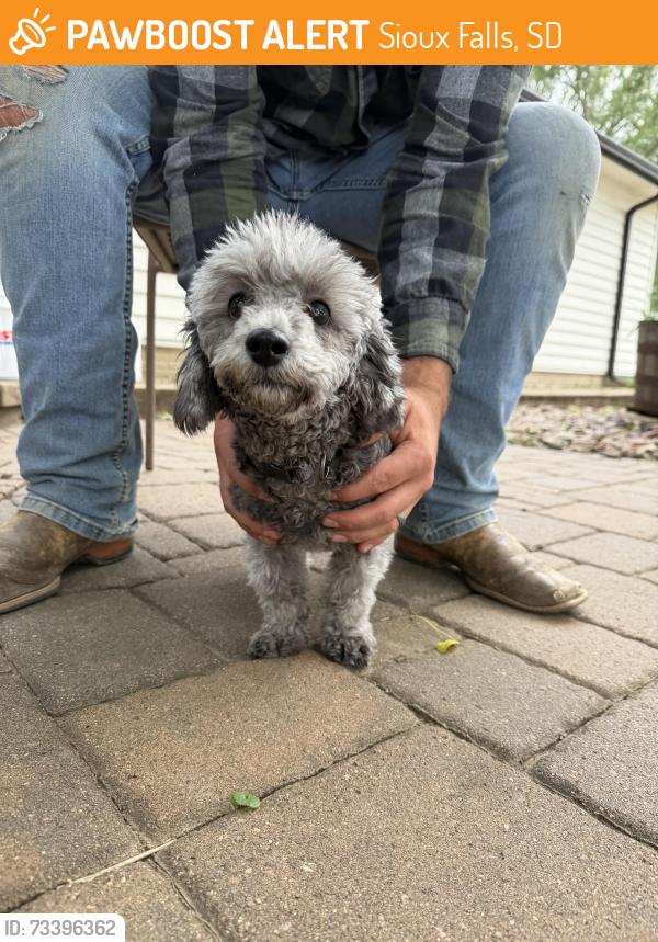 Found/Stray Male Dog last seen Grace Place Farm & Gardens, Sioux Falls, SD 57110
