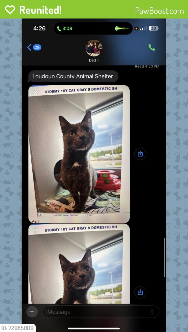 Reunited Female Cat last seen springwoods, Woodbridge, VA 22192