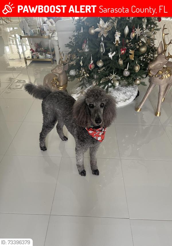 Lost Male Dog last seen Artistry development, Sarasota County, FL 34240