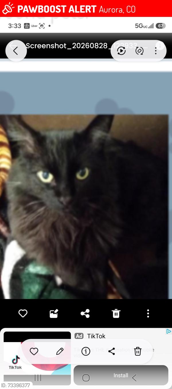 Lost Male Cat last seen Near E Alameda zPl, Aurora, CO 80017