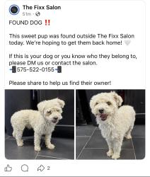 Reunited Male Dog last seen Ridgemont and missouri, Las Cruces, NM 88011