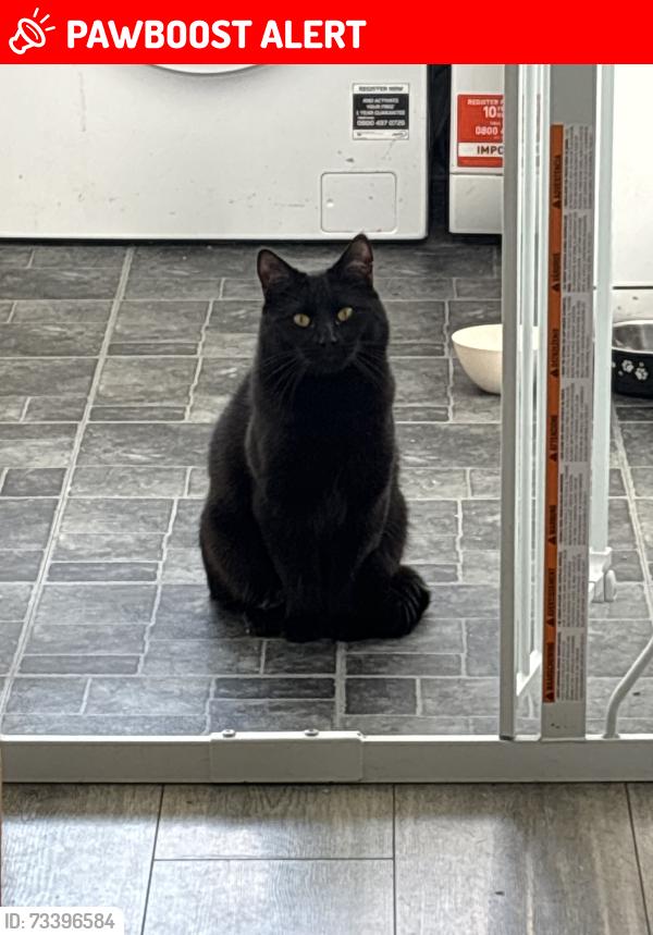 Lost Male Cat last seen Nanpean, Nanpean, England PL26 7YD