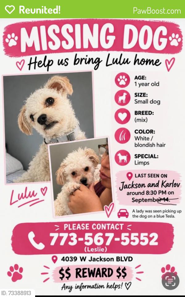 Reunited Female Dog last seen W Jackson Blvd & S Karlov Ave, Chicago, IL 60624, USA, Chicago, IL 60624