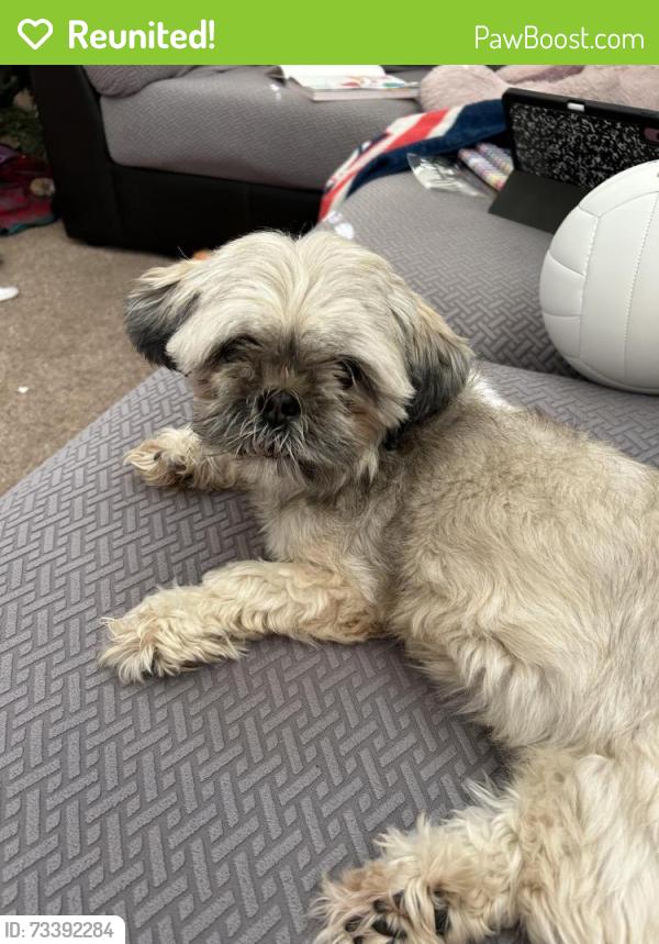 Reunited Female Dog last seen N sandal / e 56th st, Mesa, AZ 85205