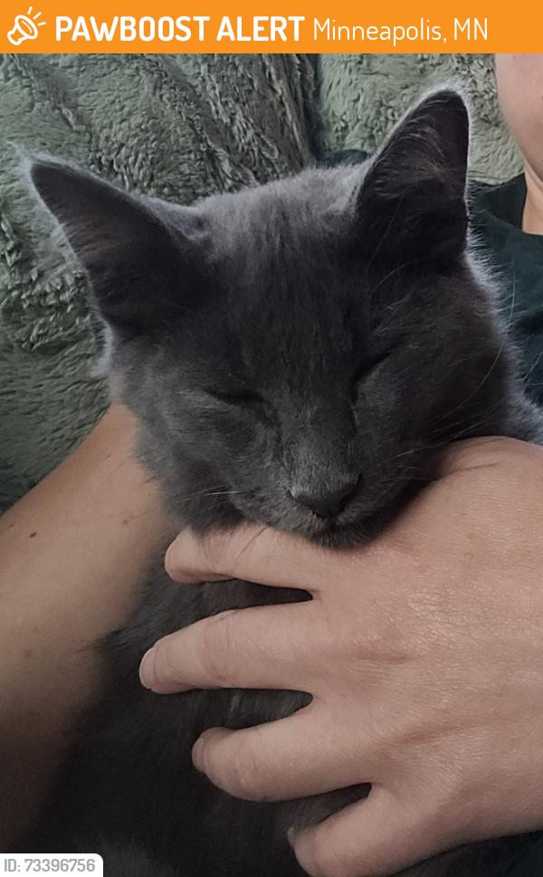 Found/Stray Male Cat last seen 27th and Pillsbury, Minneapolis, MN 55404