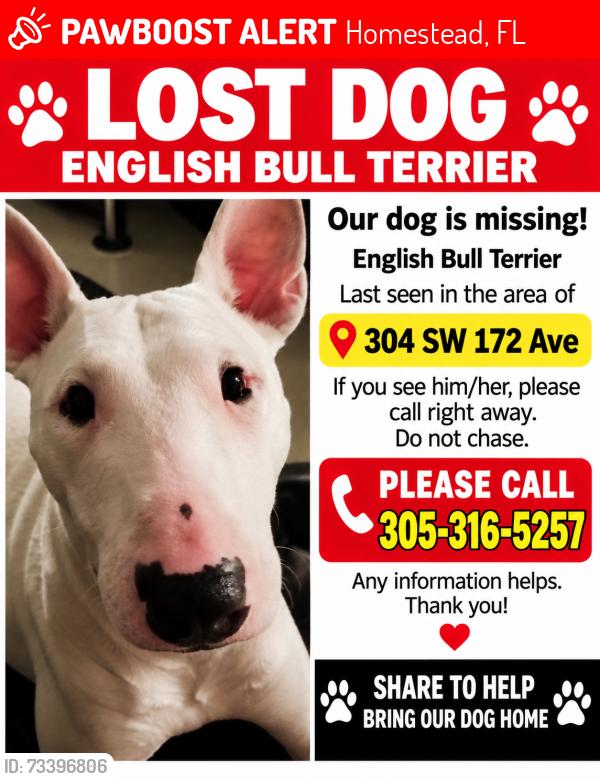 Lost Female Dog last seen Near and 172 ave, Homestead, FL 33030