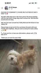 Lost Female Dog last seen Sun valley blvd and 5th Street, Sun Valley, NV 89433