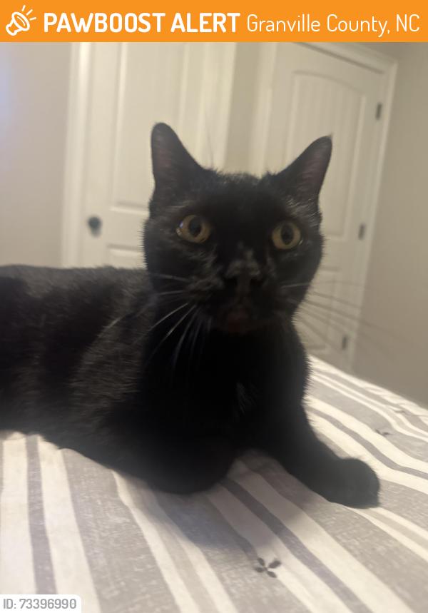Found/Stray Female Cat last seen Smith creek way, Granville County, NC 27587
