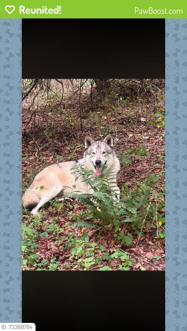Reunited Male Dog last seen Jacks barn, Oxford, NJ 07863