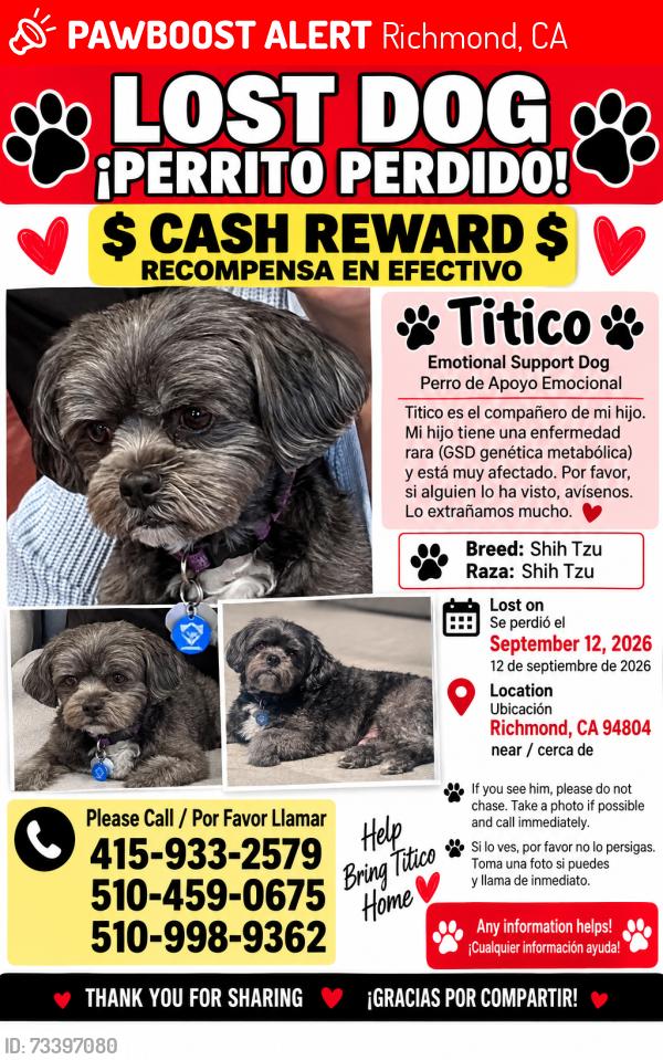 Lost Male Dog last seen Near, Richmond, CA 94804