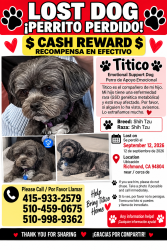 Lost Male Dog last seen Near, Richmond, CA 94804