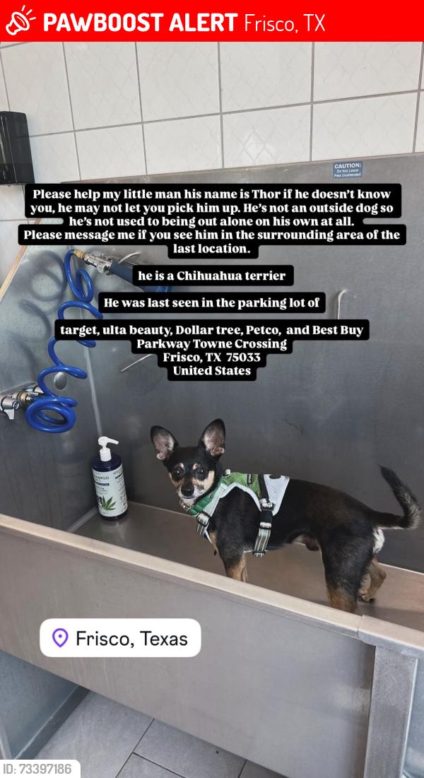Lost Male Dog last seen Parkway Towne Crossing 5177 Eldorado Pkwy Frisco, TX, Frisco, TX 75033