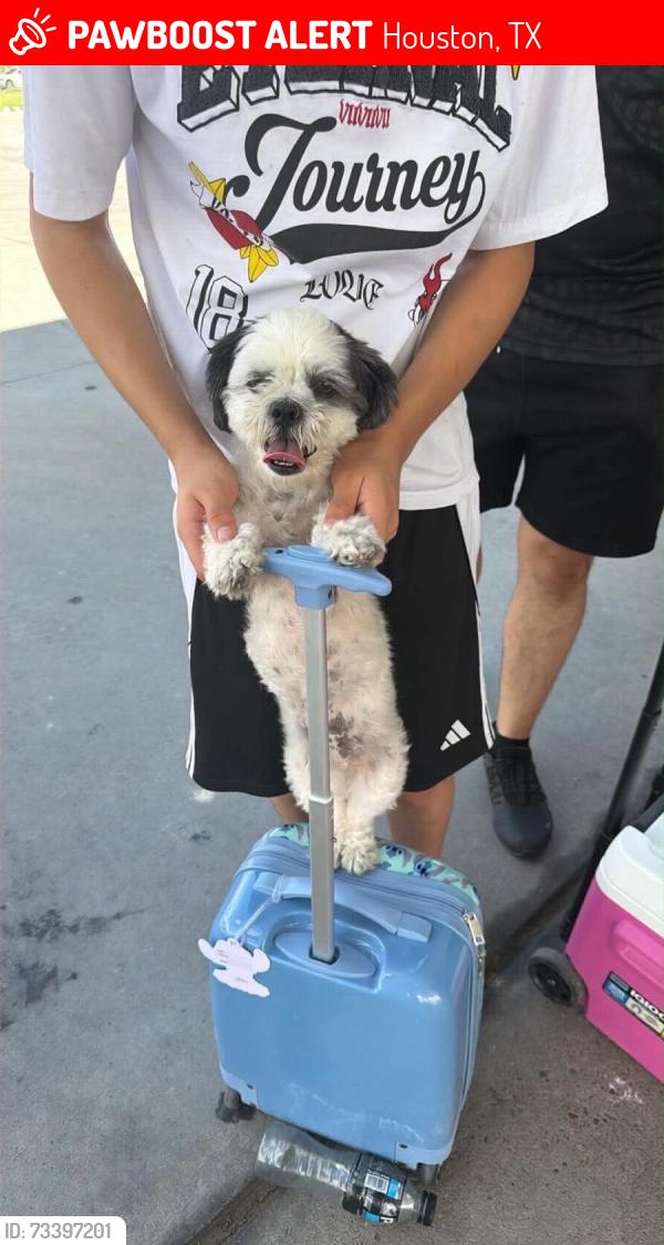 Lost Female Dog last seen Barkers Branch, Houston, TX 77084