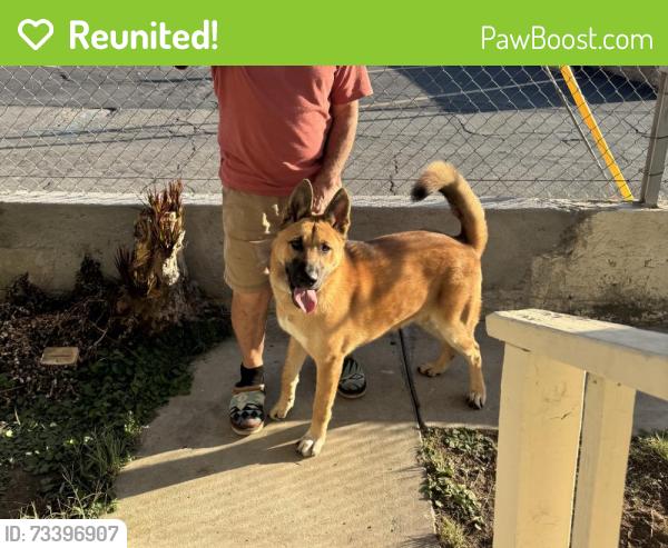 Reunited Male Dog last seen Near S Oakford Dr, East Los Angeles, CA 90022, USA, East Los Angeles, CA 90022