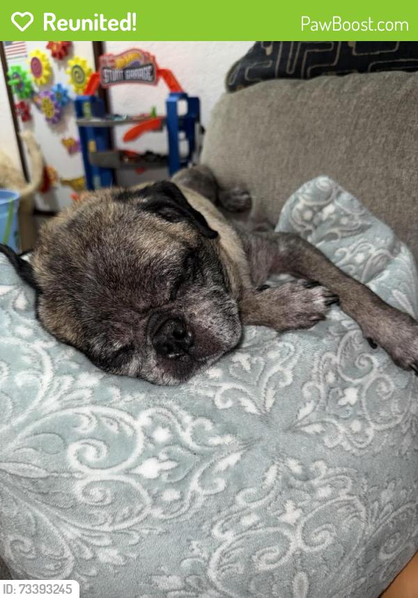 Reunited Male Dog last seen Bancroft Dr and Kenwood Dr, Spring Valley, CA 91941