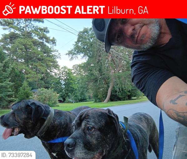 Lost Male Dog last seen Life care center, Lilburn Ga, Lilburn, GA 30047