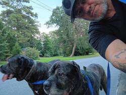 Lost Male Dog last seen Life care center, Lilburn Ga, Lilburn, GA 30047