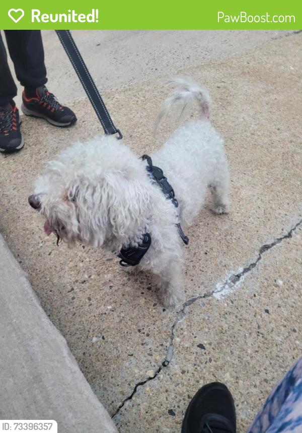 Reunited Male Dog last seen Between Ocean Ave and Garfield Ave, Jersey City, NJ 07305