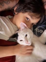 Lost Female Cat last seen Pacelli, Saginaw, MI 48602