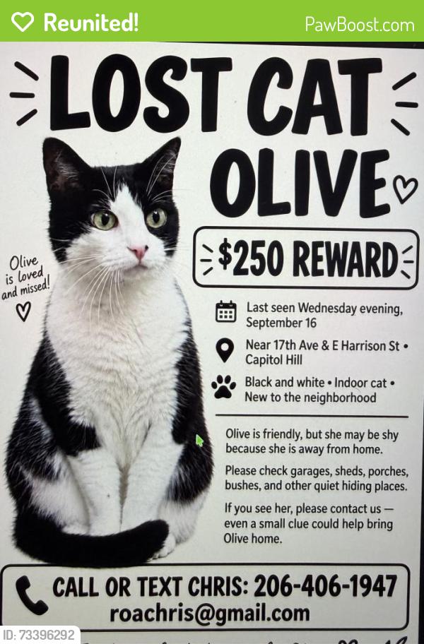Reunited Female Cat last seen Harrison and 17th Ave E, Seattle, WA 98112