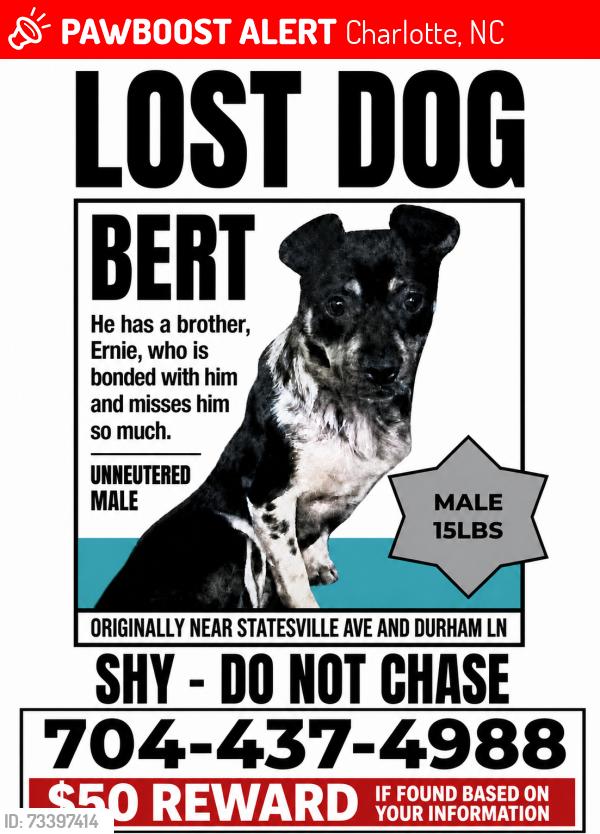 Lost Male Dog last seen Statesville avenie, Charlotte, NC 28269