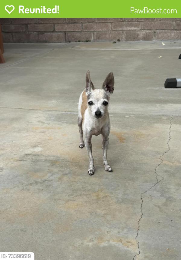 Reunited Unknown Dog last seen Brunache St & Richeon St, Downey, CA 90242